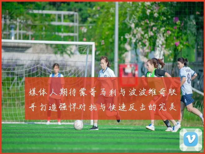 媒体人期待蒙哥马利与波波维奇联手打造强悍对抗与快速反击的完美结合